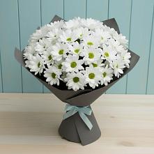 Букет цветов из:  Хризантемы в Константиновке