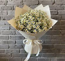 Букет цветов из:  Ромашки в Константиновке