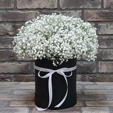 Цветочная композиция из Гипсофила в шляпной коробке #REPLACE_PRED# Константиновке