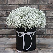 Цветочная композиция из Гипсофила в шляпной коробке в Константиновке