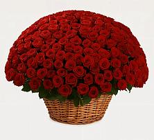 Премиум букет из: Розы в Константиновке