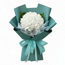 Букет цветов из:  Гортензия в Константиновке